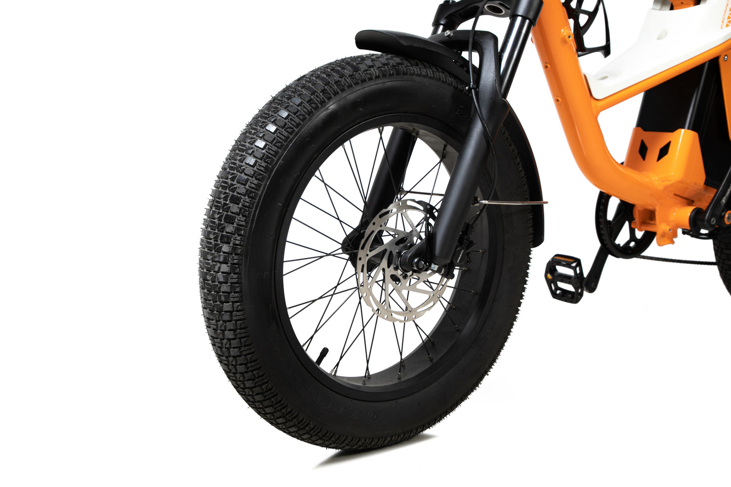 1500W Outdoor Utility E-Bike for outdoor Advanture
