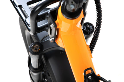 1500W Outdoor Utility E-Bike for outdoor Advanture